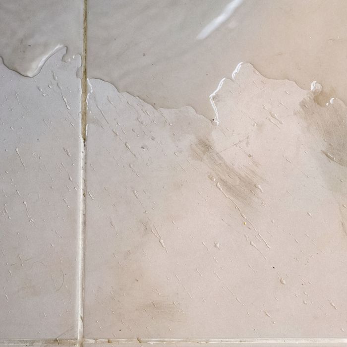 Coastline Utility Services | Four Issues That Would Require A Drain Inspection-image4