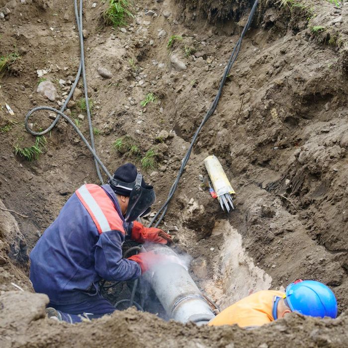 Coastline Utility Services | How to Choose the Best Utility Marking Company for Your Business Needs
