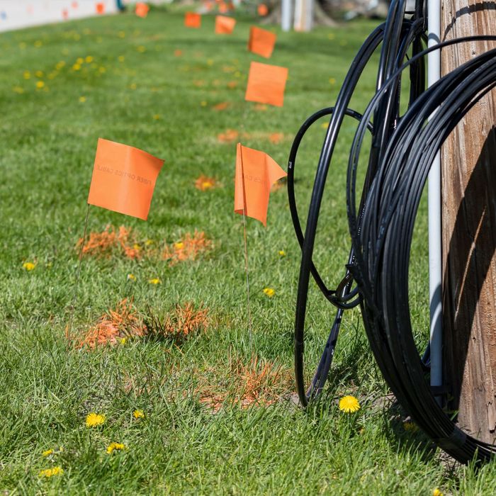 Coastline Utility Services | How to Choose the Best Utility Marking Company for Your Business Needs