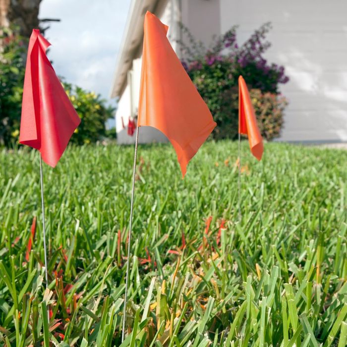 Coastline Utility Services | Risks of Not Prioritizing Utility Marking 4