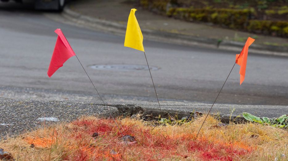 CoastlineUtility Services | Risks of Not Prioritizing Utility Marking Featured Img