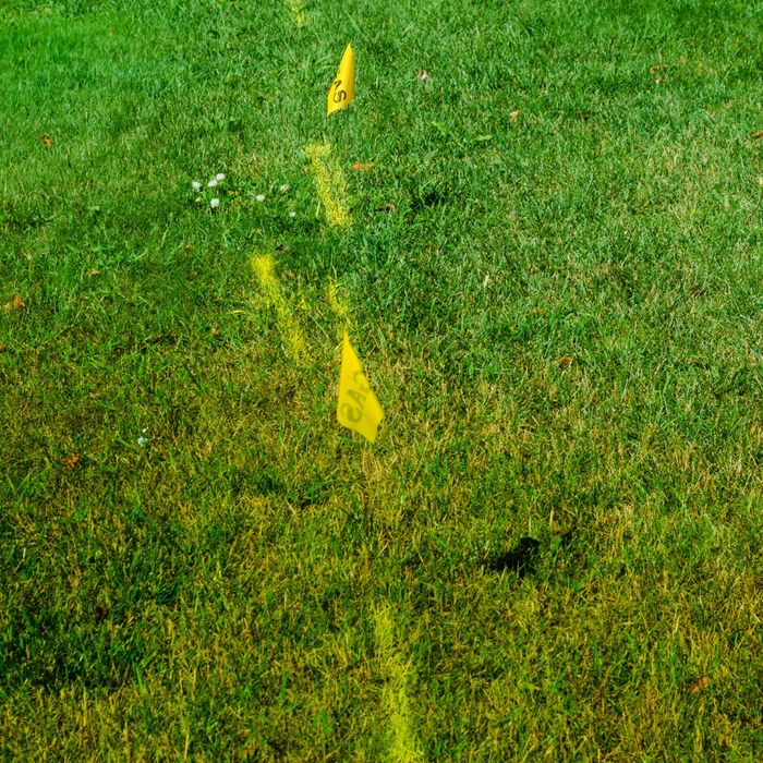 Coastline Utility Services | What To Do if You Hit a Utility Line-image1