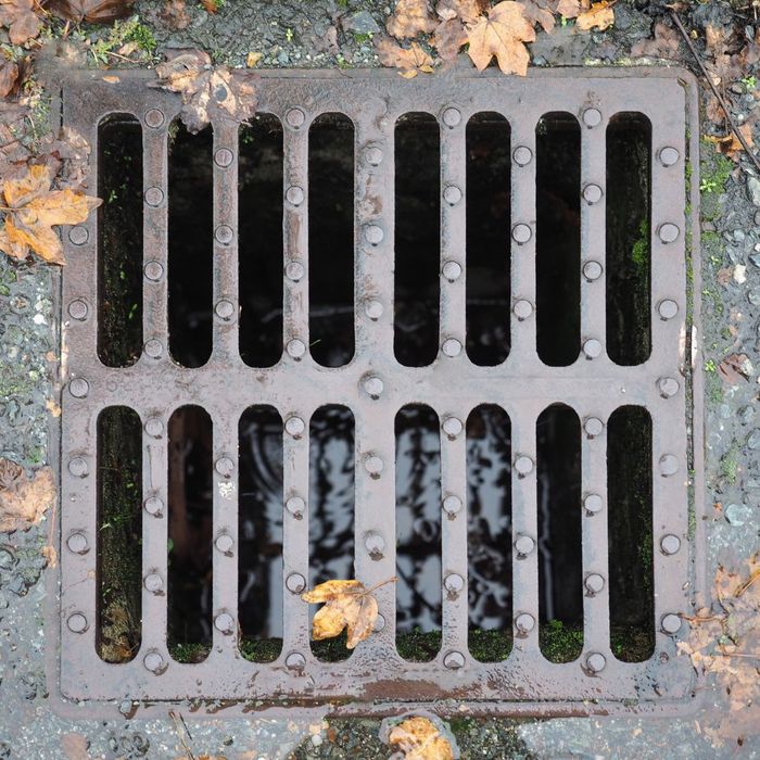 Coastline Utility Services | What to Expect During a Drain Inspection - Image 3