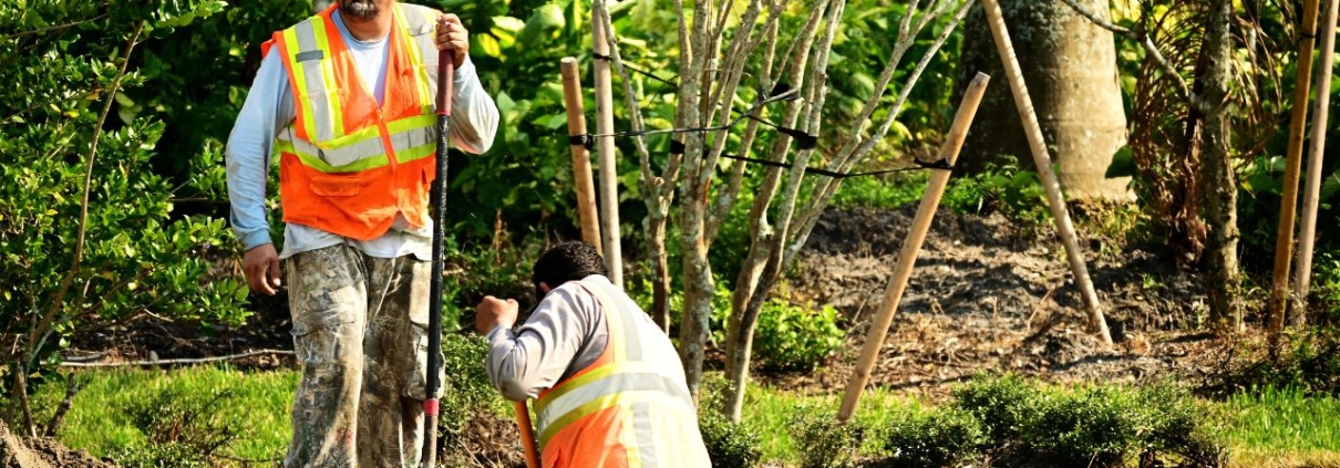 Underground utilities in California