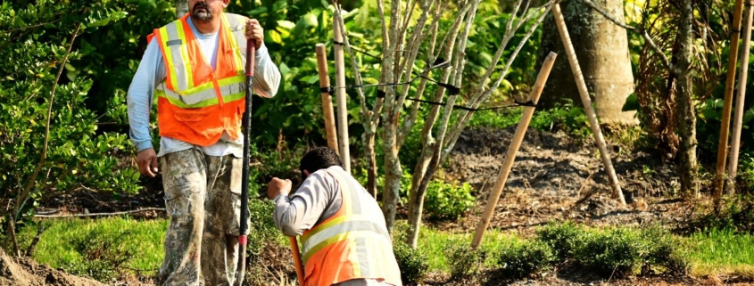 Underground utilities in California